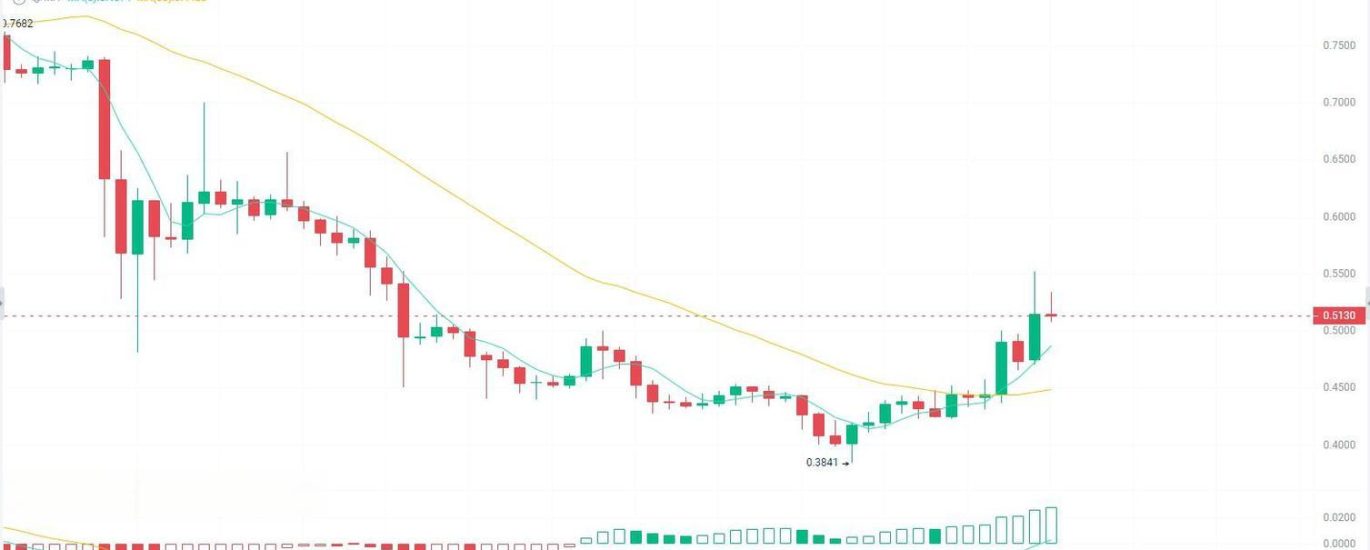 What Factors Influence the Price Correlation of ERC-20 Coins?