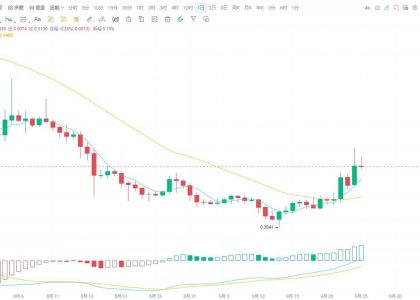 What Factors Influence the Price Correlation of ERC-20 Coins?